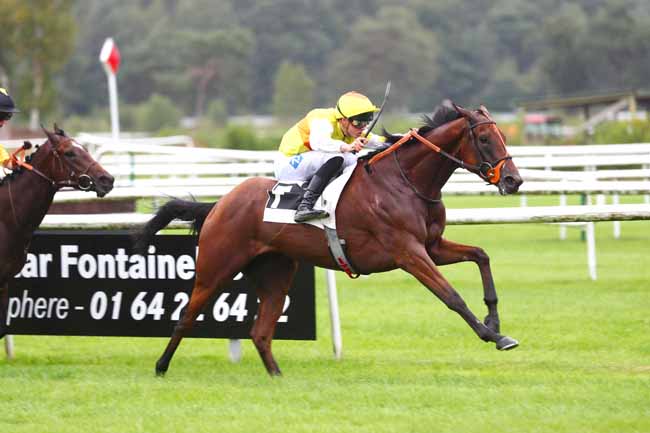 Photo d'arrivée de la course pmu PRIX LEXUS TEAM COLIN (PRIX DES CHEVREUILS) à FONTAINEBLEAU le Dimanche 22 septembre 2024