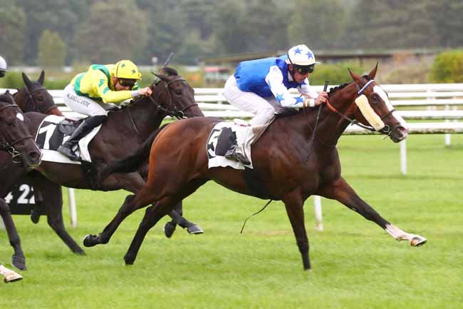 Photo d'arrivée de la course pmu PRIX TOYOTA TEAM COLIN (PRIX DU BOIS NOTRE-DAME) à FONTAINEBLEAU le Dimanche 22 septembre 2024