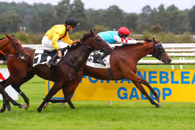 Photo d'arrivée de la course pmu PRIX TECHSTAR FONTAINEBLEAU BY AUTOSPHERE (PRIX DE LA MARE AUX EVEES) à FONTAINEBLEAU le Dimanche 22 septembre 2024