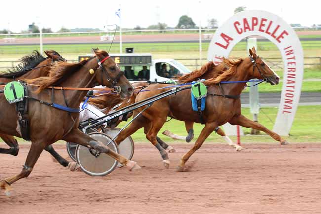 Photo d'arrivée de la course pmu PRIX ROZOY-SUR-SERRE à LA CAPELLE le Lundi 23 septembre 2024