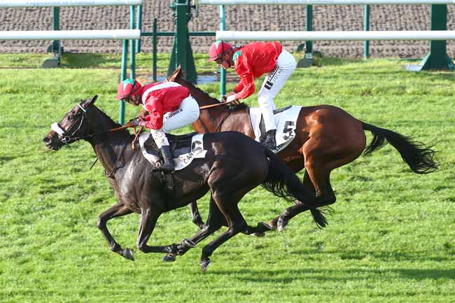 Photo d'arrivée de la course pmu PRIX DE VEZ à CHANTILLY le Jeudi 26 septembre 2024