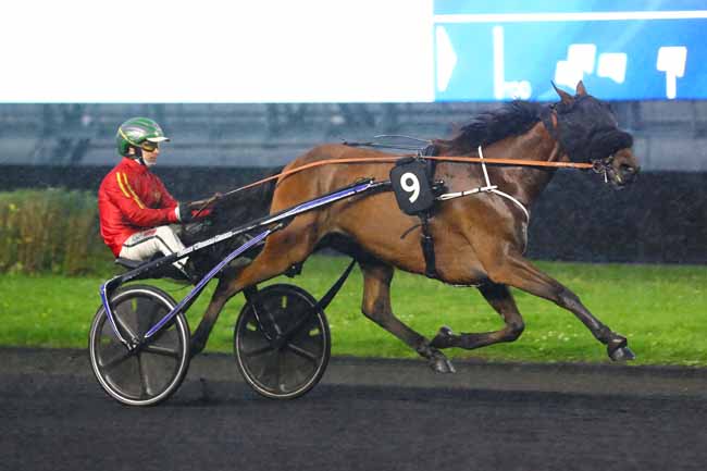Photo d'arrivée de la course pmu PRIX ELLA à PARIS-VINCENNES le Vendredi 27 septembre 2024