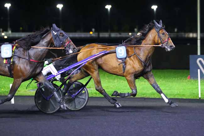 Photo d'arrivée de la course pmu PRIX MAGDALENA à PARIS-VINCENNES le Vendredi 27 septembre 2024