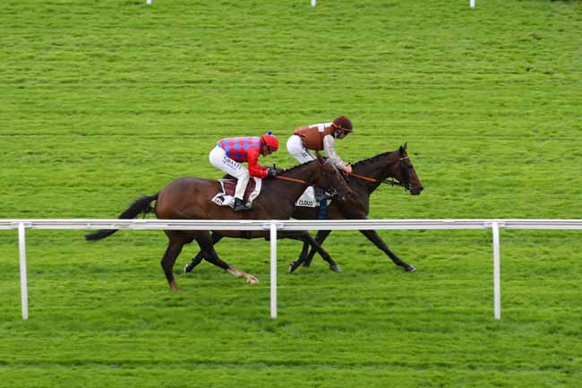 Photo d'arrivée de la course pmu PRIX DU HARAS DE LA HUME à SAINT CLOUD le Vendredi 27 septembre 2024