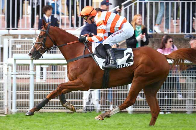 Photo d'arrivée de la course pmu PRIX GRANDLIEU à AUTEUIL le Samedi 28 septembre 2024