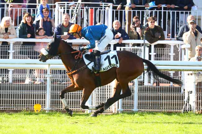 Photo d'arrivée de la course pmu PRIX ROYAL JUNIOR à AUTEUIL le Samedi 28 septembre 2024