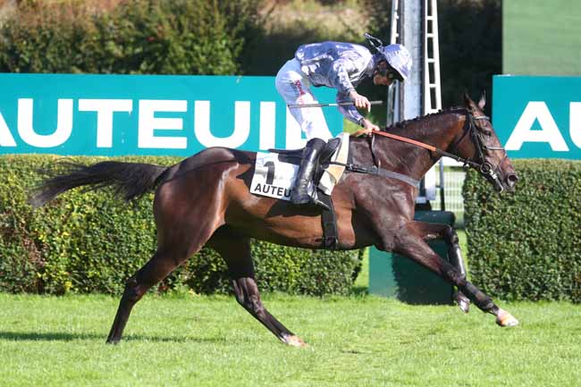 Photo d'arrivée de la course pmu PRIX RICHARD ET ROBERT HENNESSY à AUTEUIL le Samedi 28 septembre 2024