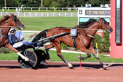 Photo d'arrivée de la course pmu PRIX DU COTENTIN à ENGHIEN le Samedi 28 septembre 2024