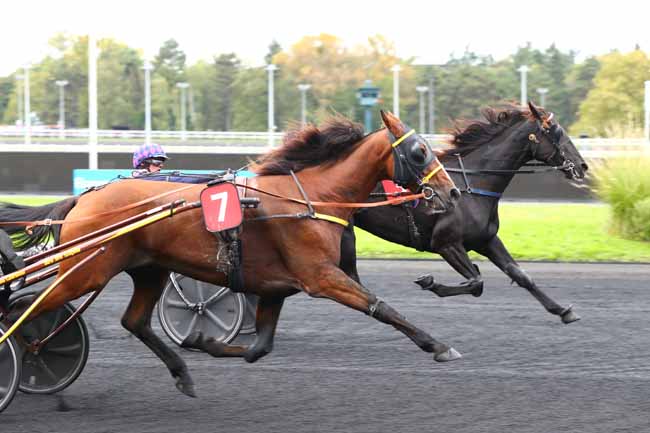 Photo d'arrivée de la course pmu PRIX BANQUE CAIXA GERAL DE DEPOSITOS (PRIX OVIDIUS NASO) à PARIS-VINCENNES le Dimanche 29 septembre 2024
