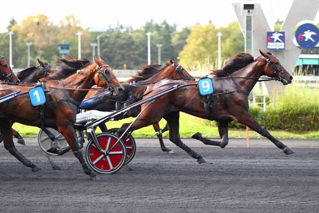 Photo d'arrivée de la course pmu PRIX DE TROYES à PARIS-VINCENNES le Dimanche 29 septembre 2024