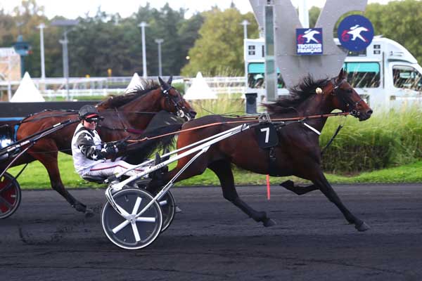 Photo d'arrivée de la course pmu PRIX PHAEDRA à PARIS-VINCENNES le Mardi 1 octobre 2024