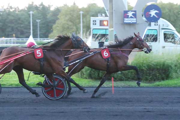Photo d'arrivée de la course pmu PRIX UNDINA à PARIS-VINCENNES le Mardi 1 octobre 2024