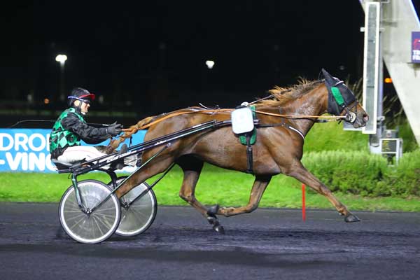 Photo d'arrivée de la course pmu PRIX CONSTANTIA à PARIS-VINCENNES le Mardi 1 octobre 2024