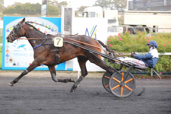 Photo d'arrivée de la course pmu PRIX LECLERC CHATEAU-GONTIER à MESLAY DU MAINE le Mercredi 2 octobre 2024
