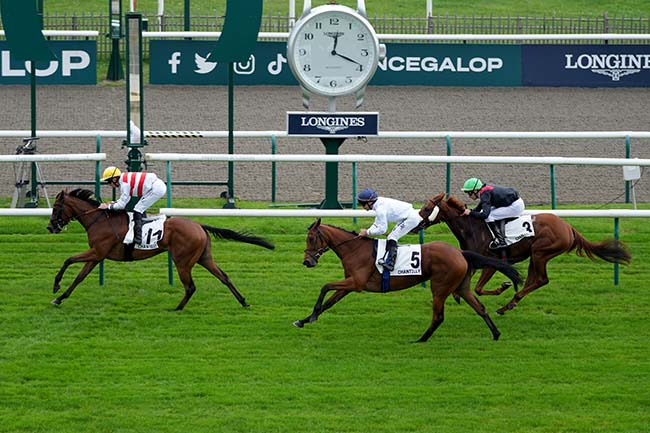 Photo d'arrivée de la course pmu PRIX DE FORMENTIN à CHANTILLY le Jeudi 3 octobre 2024