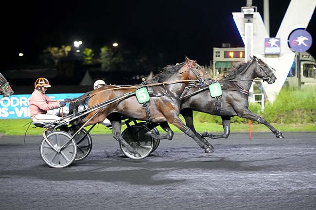 Photo d'arrivée de la course pmu PRIX ANDROMEDA à PARIS-VINCENNES le Vendredi 4 octobre 2024