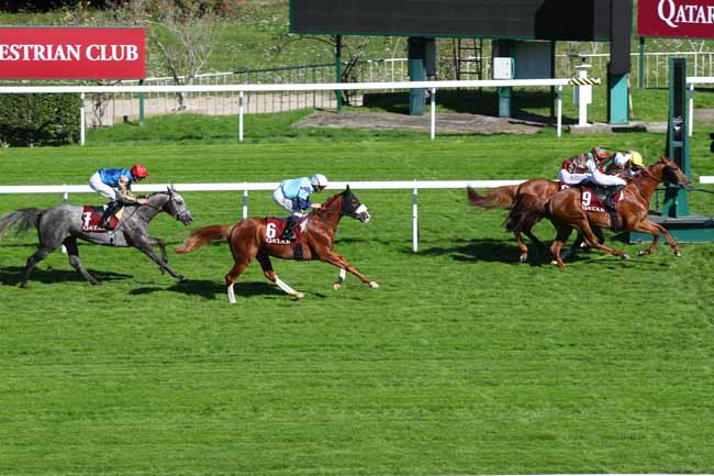 Photo d'arrivée de la course pmu QATAR ARABIAN TROPHY DES POULAINS à SAINT CLOUD le Vendredi 4 octobre 2024