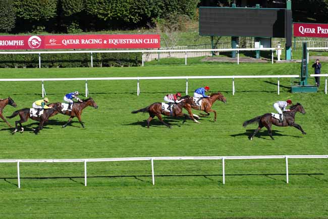 Photo d'arrivée de la course pmu PRIX DAHLIA - FONDS EUROPEEN DE L'ELEVAGE à SAINT CLOUD le Vendredi 4 octobre 2024