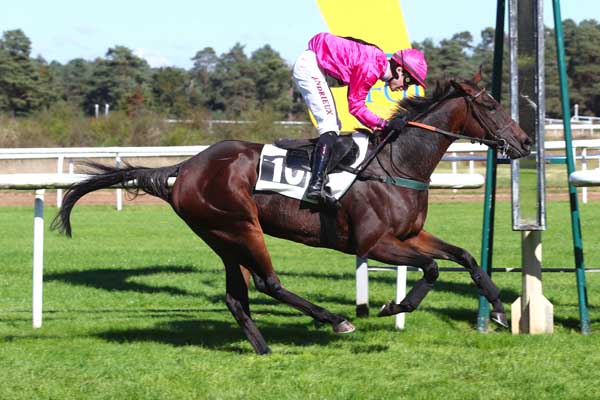Photo d'arrivée de la course pmu PRIX DES AUBEPINES (PRIX DU SIMPLON) à FONTAINEBLEAU le Samedi 5 octobre 2024