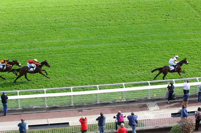 Photo d'arrivée de la course pmu PRIX ISOPANI à AUTEUIL le Mardi 8 octobre 2024