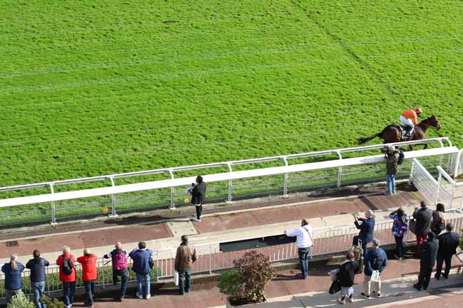 Photo d'arrivée de la course pmu PRIX VIVIENNE à AUTEUIL le Mardi 8 octobre 2024