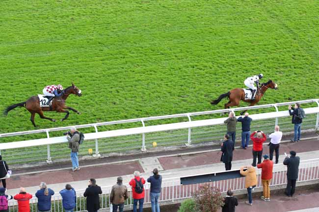 Photo d'arrivée de la course pmu PRIX CLAUDE LE LORRAIN - JOSEPH AUDON à AUTEUIL le Mardi 8 octobre 2024
