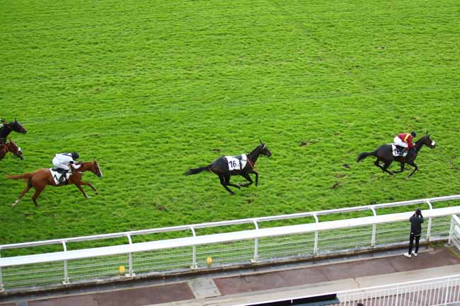 Photo d'arrivée de la course pmu PRIX HIPPARQUE à AUTEUIL le Mardi 8 octobre 2024