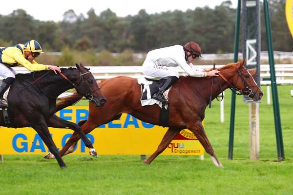 Photo d'arrivée de la course pmu PRIX DE LA FAISANDERIE à FONTAINEBLEAU le Mardi 8 octobre 2024