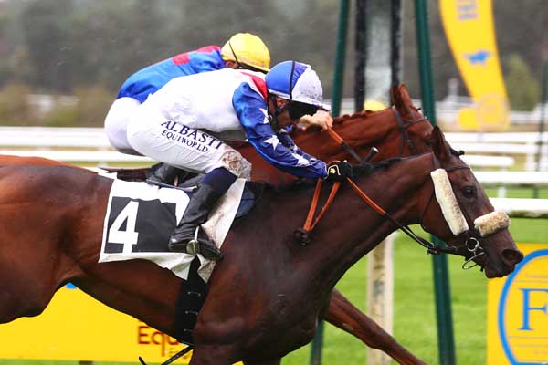 Photo d'arrivée de la course pmu PRIX DU CHATEAU DE VAUX LE VICOMTE à FONTAINEBLEAU le Mardi 8 octobre 2024