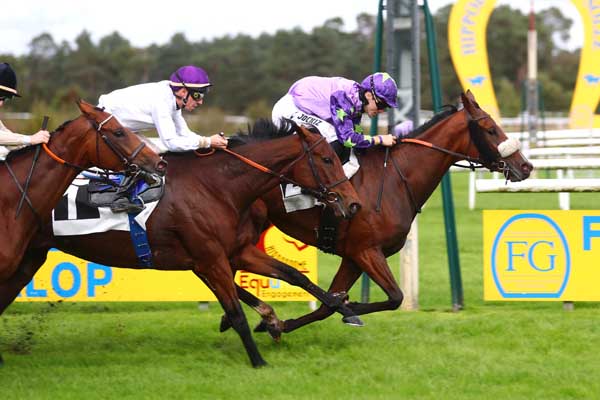 Photo d'arrivée de la course pmu PRIX DES SYCOMORES à FONTAINEBLEAU le Mardi 8 octobre 2024