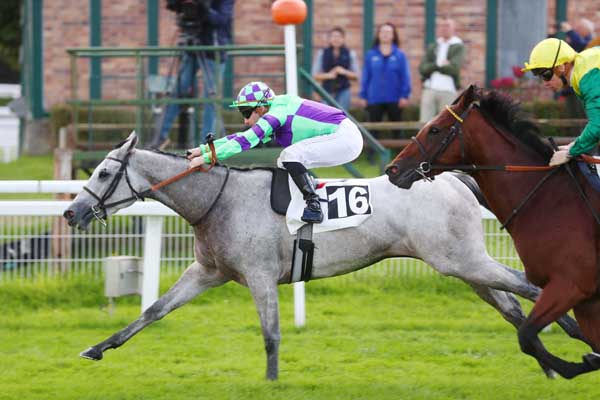 Photo d'arrivée de la course pmu PRIX DES CERFS à FONTAINEBLEAU le Mardi 8 octobre 2024