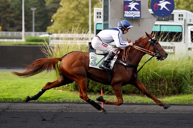 Photo d'arrivée de la course pmu PRIX ANTONIA à PARIS-VINCENNES le Mardi 8 octobre 2024