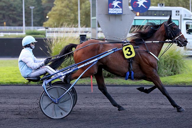 Photo d'arrivée de la course pmu PRIX DAPHNE à PARIS-VINCENNES le Mardi 8 octobre 2024