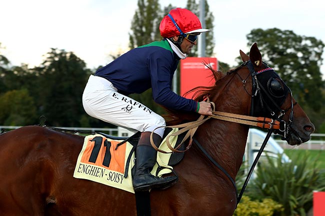 Photo d'arrivée de la course pmu PRIX DE LA PLACE DU CANADA à ENGHIEN le Jeudi 10 octobre 2024