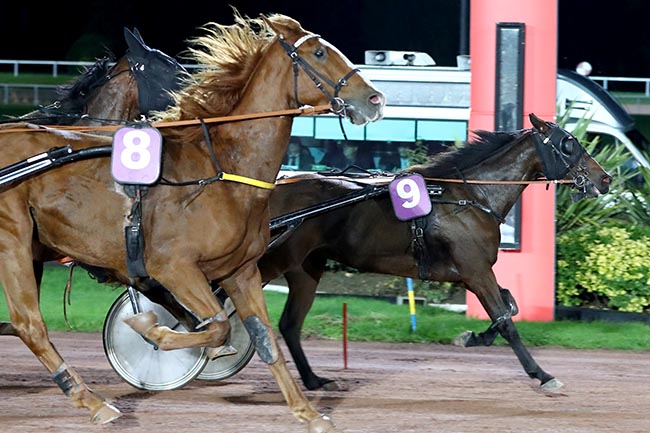 Photo d'arrivée de la course pmu PRIX DE MAURON à ENGHIEN le Jeudi 10 octobre 2024