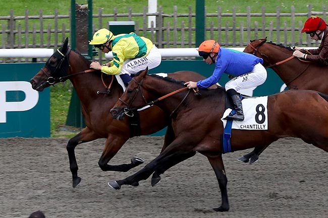 Photo d'arrivée de la course pmu PRIX DE LA CROIX DE L'OIGNON à CHANTILLY le Samedi 12 octobre 2024