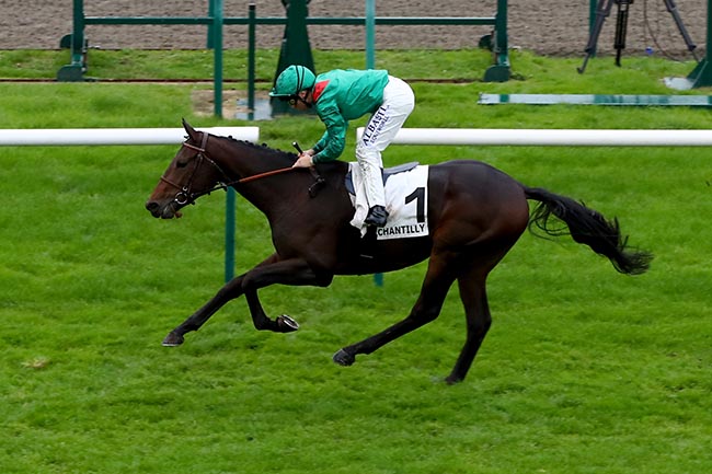 Photo d'arrivée de la course pmu PRIX DU JEU DE L'OIE à CHANTILLY le Samedi 12 octobre 2024