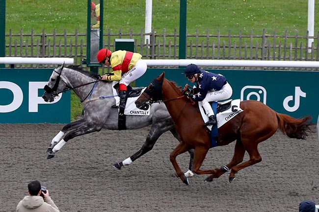 Photo d'arrivée de la course pmu PRIX DU RU DU PONTCEL à CHANTILLY le Samedi 12 octobre 2024