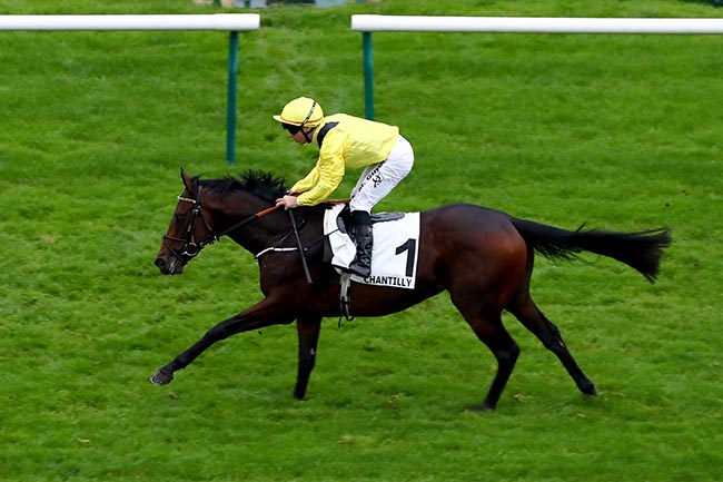Photo d'arrivée de la course pmu PRIX SARACA à CHANTILLY le Samedi 12 octobre 2024