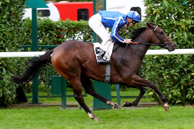 Photo d'arrivée de la course pmu CRITERIUM DE MAISONS-LAFFITTE à CHANTILLY le Samedi 12 octobre 2024
