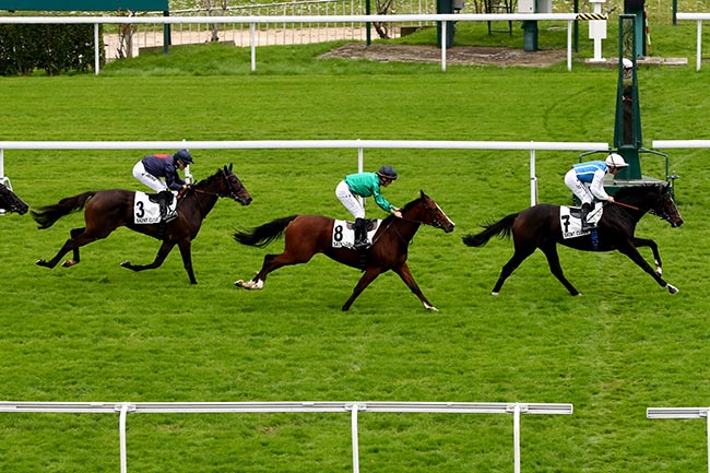 Photo d'arrivée de la course pmu PRIX BARQUETTE à SAINT CLOUD le Lundi 14 octobre 2024
