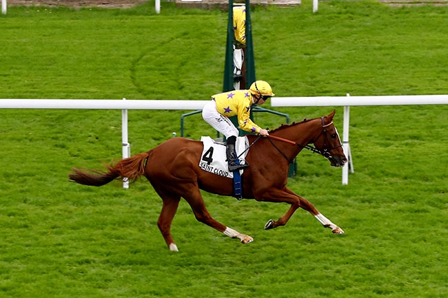 Photo d'arrivée de la course pmu PRIX DE CLAIREFONTAINE à SAINT CLOUD le Lundi 14 octobre 2024
