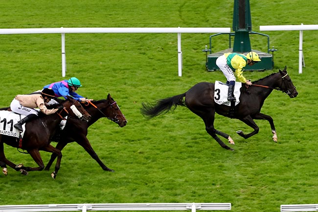 Photo d'arrivée de la course pmu PRIX DE LA CHALOSSE à SAINT CLOUD le Lundi 14 octobre 2024