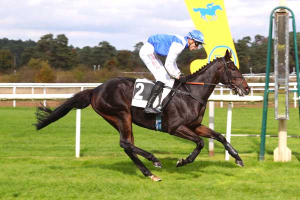 Photo d'arrivée de la course pmu PRIX RICHARD D'AYGUEVIVES à FONTAINEBLEAU le Lundi 14 octobre 2024