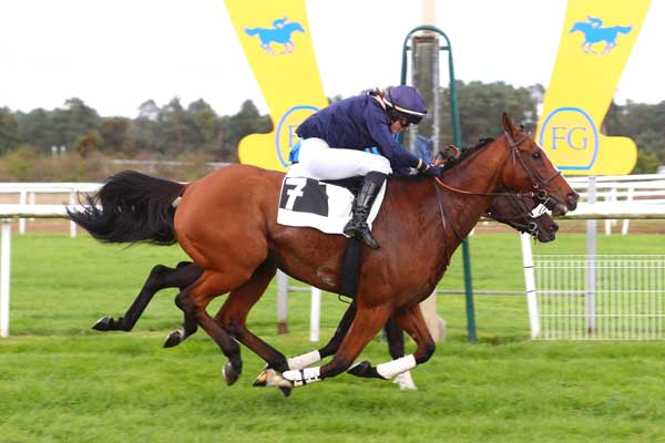 Photo d'arrivée de la course pmu PRIX GERARD DE MARISY à FONTAINEBLEAU le Lundi 14 octobre 2024