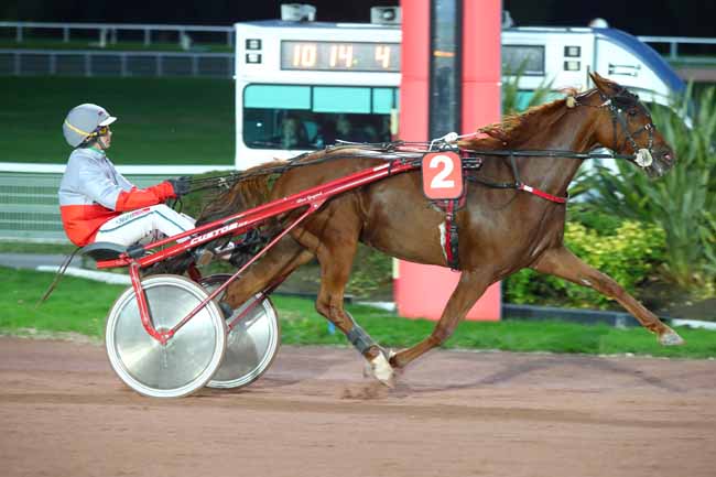 Photo d'arrivée de la course pmu PRIX DU PONT DE LA TOURNELLE à ENGHIEN le Lundi 14 octobre 2024