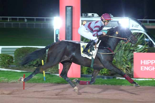 Photo d'arrivée de la course pmu PRIX DE JONQUIERES à ENGHIEN le Lundi 14 octobre 2024