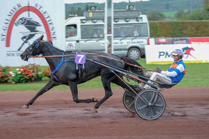 Photo d'arrivée de la course pmu PRIX ASSE à SAINT GALMIER le Mercredi 16 octobre 2024