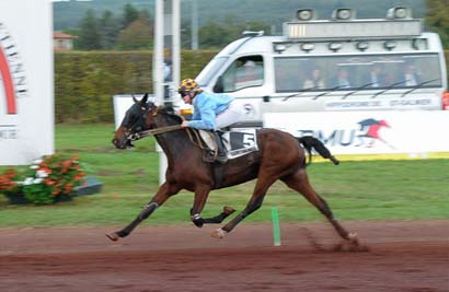 Photo d'arrivée de la course pmu PRIX DE LA VILLE DE SAINT-GALMIER à SAINT GALMIER le Mercredi 16 octobre 2024