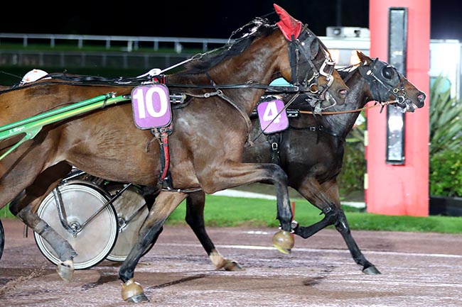 Photo d'arrivée de la course pmu PRIX DU MAINE à ENGHIEN le Samedi 19 octobre 2024